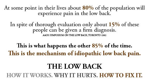 Low back pain relief - the mechanism of idiopathic low back pain